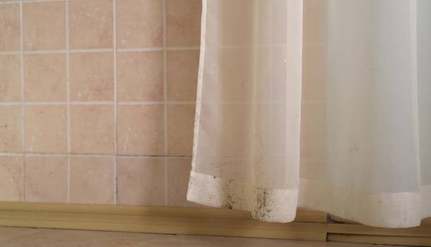 Best Indoor Air Quality Assessment  in Grand Rapids, MN