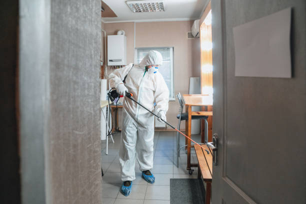 Best Environmental Consulting for Mold Prevention  in Grand Rapids, MN