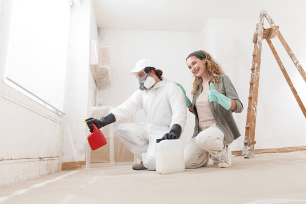 Best Post-Construction Mold Inspection  in Grand Rapids, MN