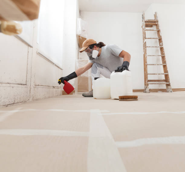 Best Airborne Mold Testing  in Grand Rapids, MN