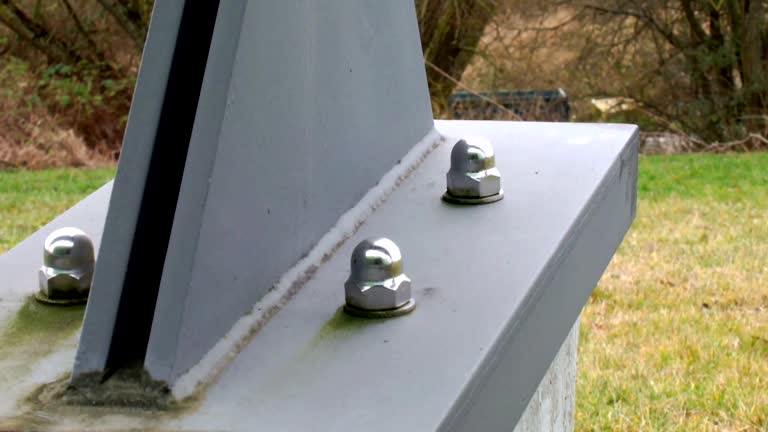 Best Industrial Mold Remediation  in Grand Rapids, MN